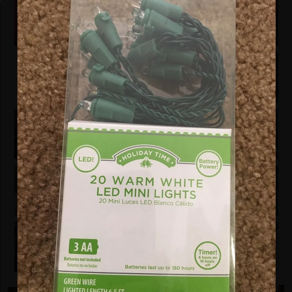 NWT Fun festive 20 warm white LED lights holiday